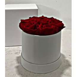 CILINDRO ROSSO SETTE