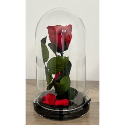 ROSA INCANTATA LUXURY