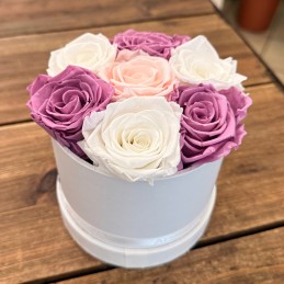 CILINDRO CHERI' SETTE