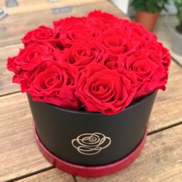 CILINDRO ROSSO DODICI