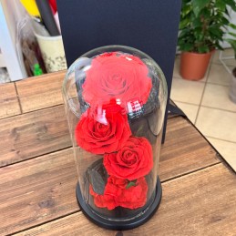 ROSA LUXURY TRIS