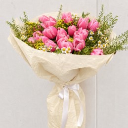 TULIPS
